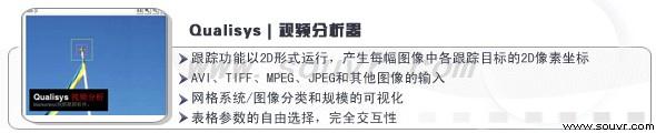 視頻分析器