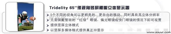 裸眼立體顯示器